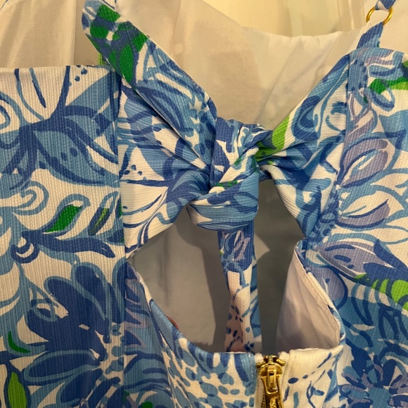 Lilly Pulitzer Shelli Stretch Dress - Picture 6 of 8